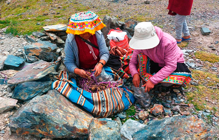 UMASBAMBA – CHINCHERO
